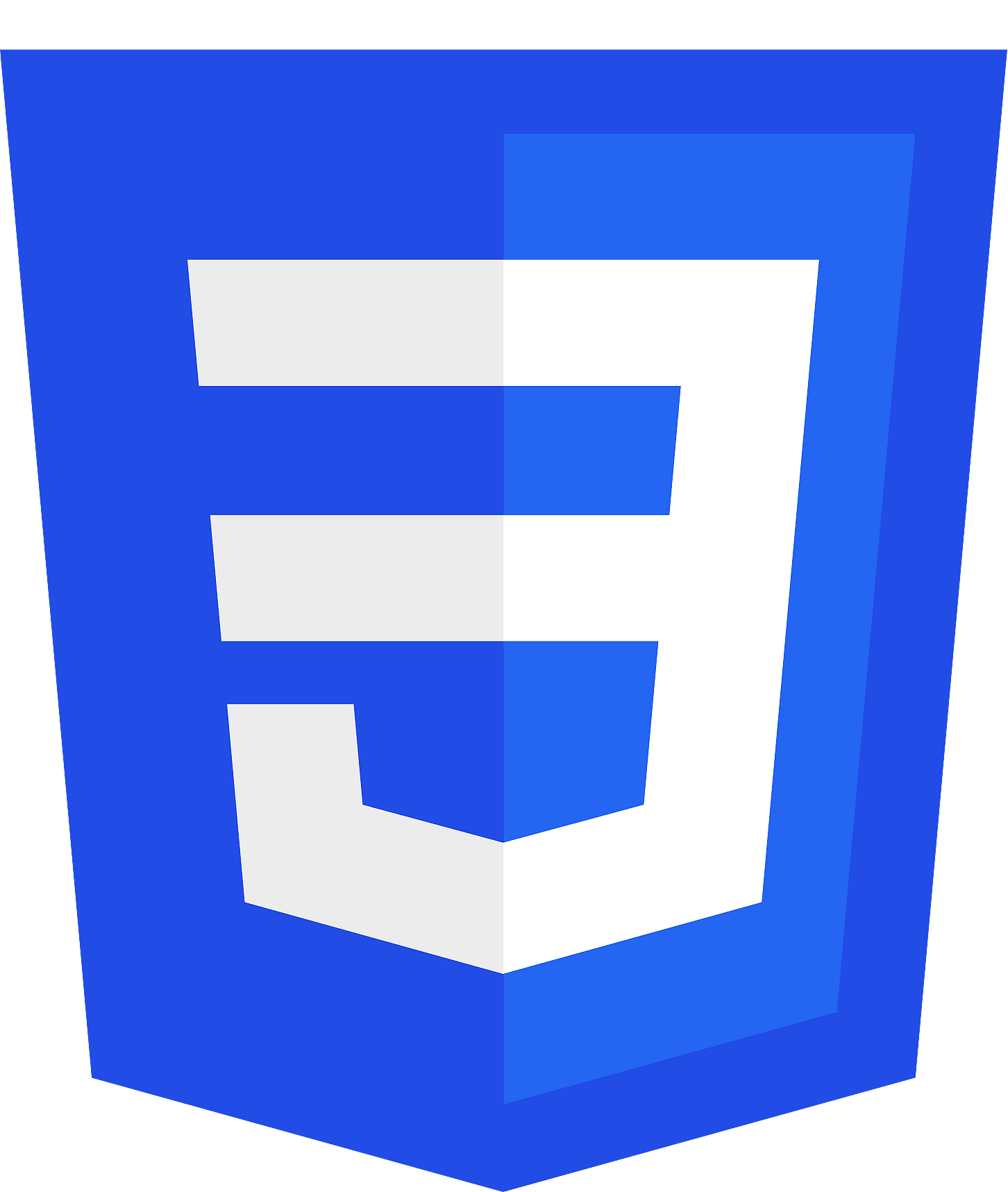 logo de CSS